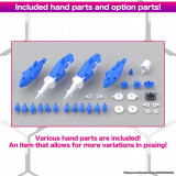 30MS SIS-Ac19b Siana Amarcia Vivace Form for sale in the UK