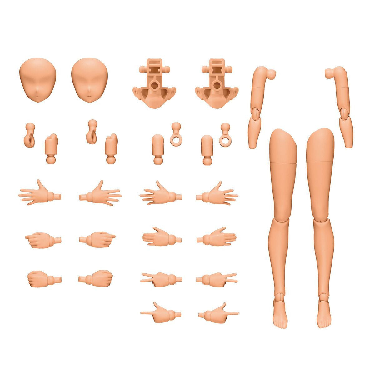 30MS Option Body Parts Arm Parts & Leg Parts [Colour C] OB-11