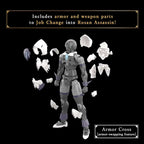 30MF Rosan Assassin