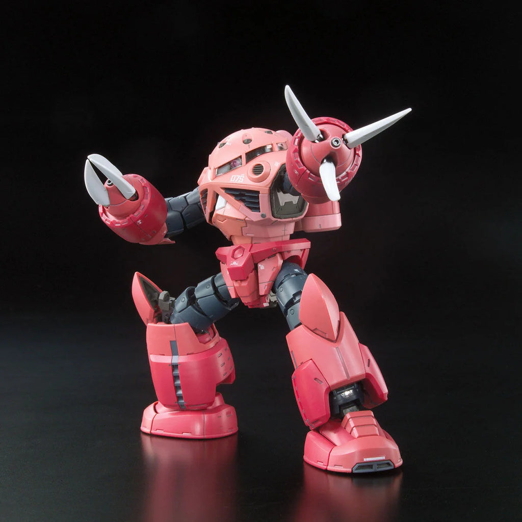 RG MSM-07S Z'Gok Char Custom 1/144